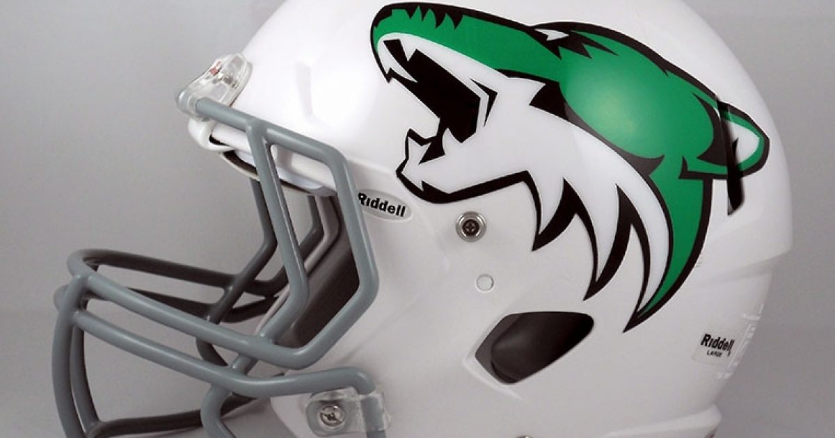 riddell helmet decals