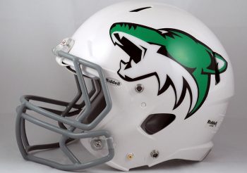 Football Helmet Decals Team Fitz Graphics