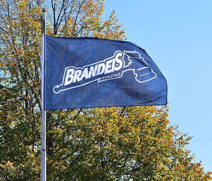 Sports Team Flags and Banners